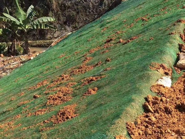 三維植被網施工